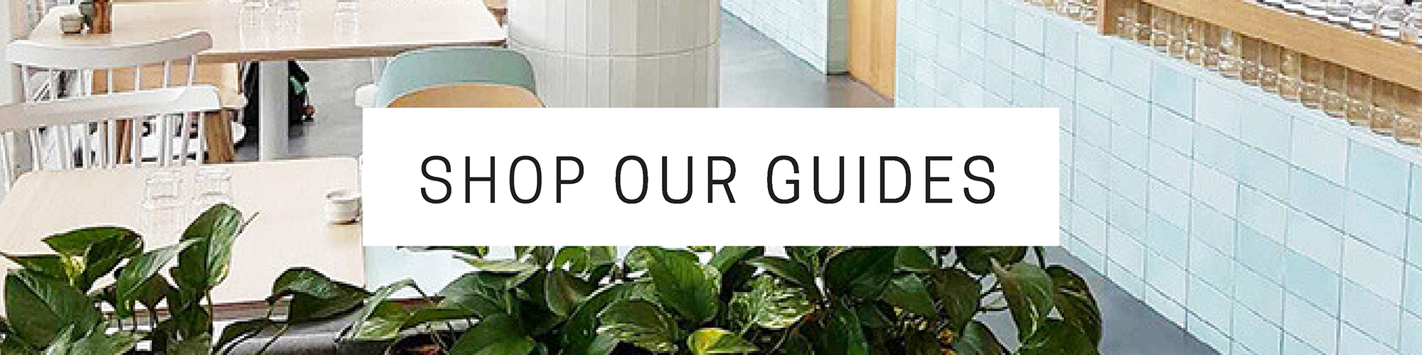 SHOP OUR GUIDES